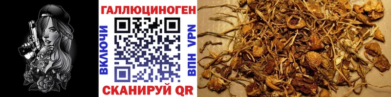 Галлюциногенные грибы мицелий  Купить закладки  Мончегорск 